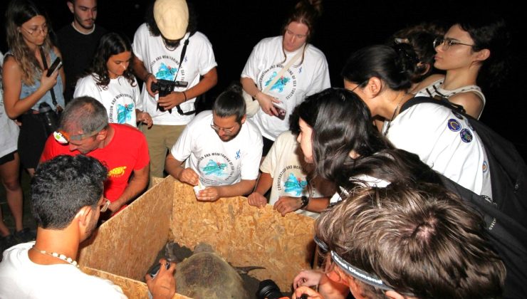 Caretta Caretta kaplumbağalarına uydu vericisi takıldı