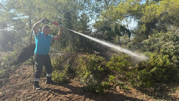 Esentepe-Karaağaç sırtlarındaki yangın…Orman Dairesi Müdürü Poyraz: Yangın, elektrik tellerinin ağaçlara temas etmesi sonucu çıktı