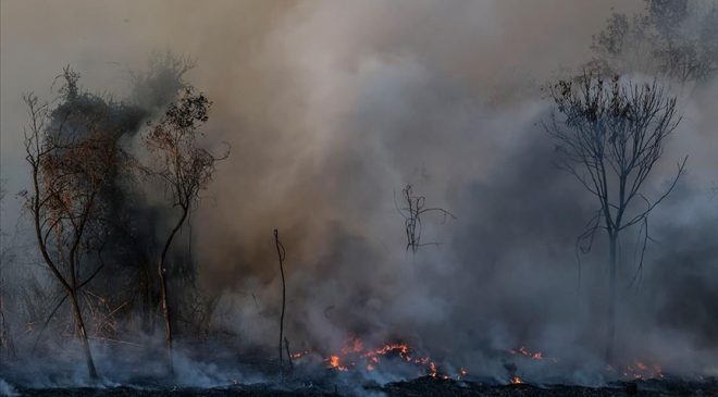 İtalya’da farklı noktalardaki orman yangınları hayatı olumsuz etkiledi