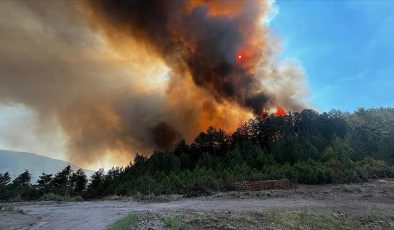 Balıkesir’de çıkan orman yangınına müdahale ediliyor
