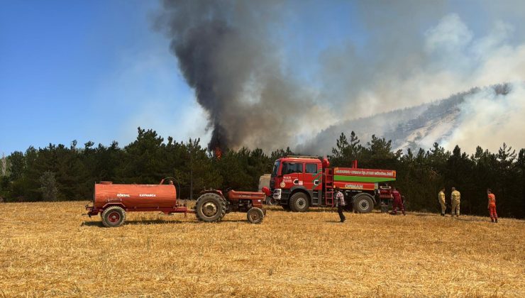 Bolu’da çıkan orman yangınına müdahale ediliyor