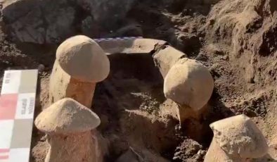 Elazığ’da yaklaşık 6 bin yıllık buluntular gün yüzüne çıkarıldı