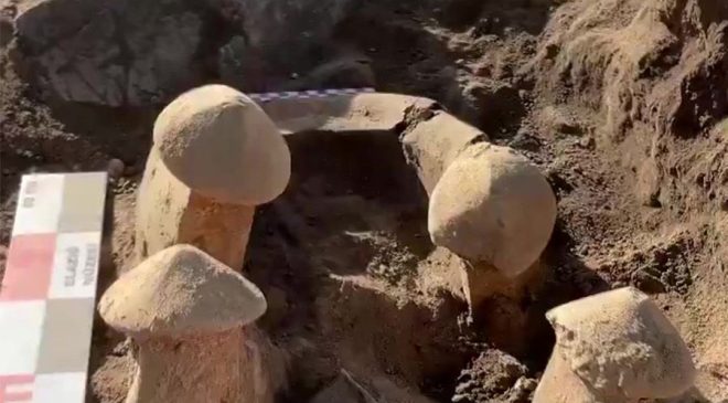 Elazığ’da yaklaşık 6 bin yıllık buluntular gün yüzüne çıkarıldı
