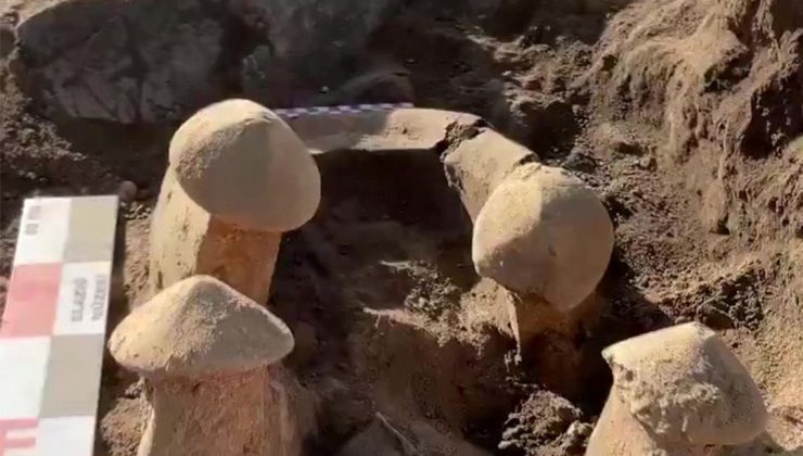Elazığ’da yaklaşık 6 bin yıllık buluntular gün yüzüne çıkarıldı