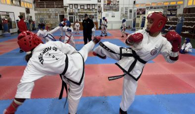 Erdem Orel Taekwondo-Karate-Budo Şampiyonası yapıldı