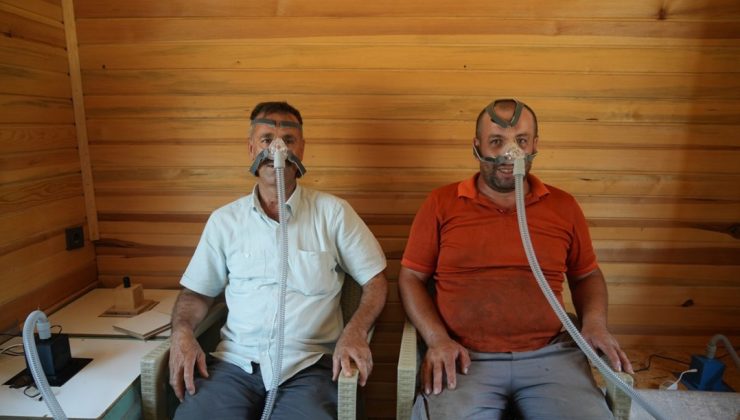 Alerji, astım, bronşite iyi geliyor: Şifayı böyle buluyorlar