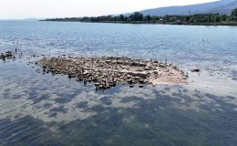 Sapanca Gölü’nde sular çekilince tarihi kilise ortaya çıktı