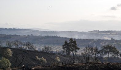 Çanakkale’de büyük oranda kontrol altına alınan yangına müdahale 2. gününde sürüyor