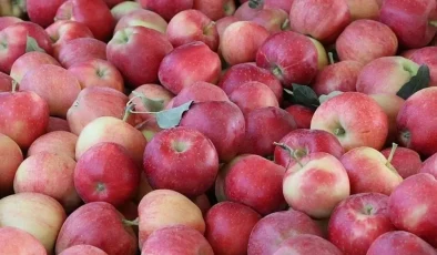 İthal elmada limit üstü kalıntı