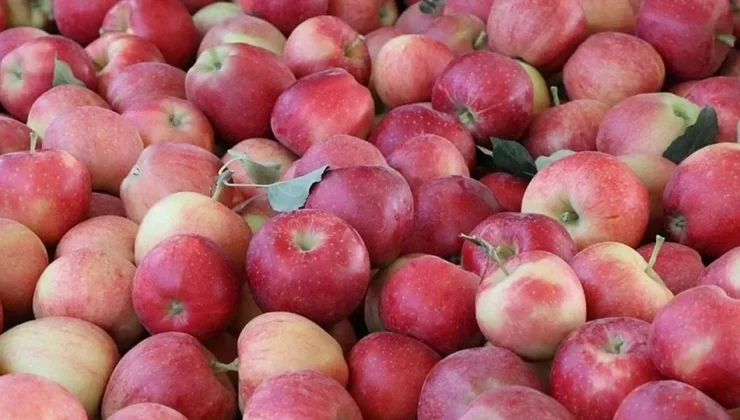 İthal elmada limit üstü kalıntı