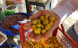 Mevsim geçişlerinde soluğu aktarda alıyorlar: Alıç, bitki çayları, propolis…