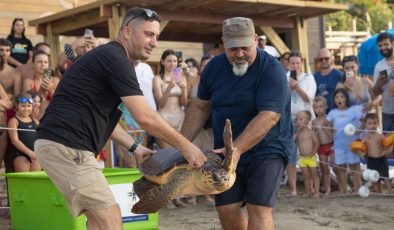 Meritta ile bugüne kadar 170 deniz kaplumbağası hayata yeniden merhaba dedi