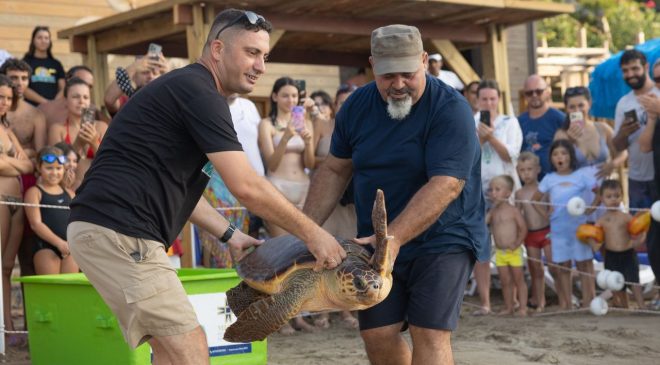 Meritta ile bugüne kadar 170 deniz kaplumbağası hayata yeniden merhaba dedi