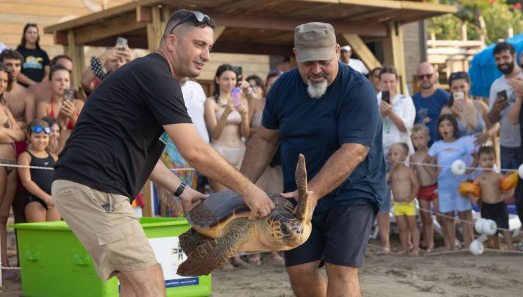 Meritta ile bugüne kadar 170 deniz kaplumbağası hayata yeniden merhaba dedi