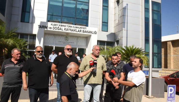 “Hayvanlar açlıktan ölmeden tedbir alın”