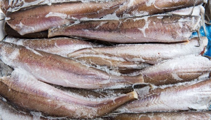 Gün boyunca uykulu mu hissediyorsunuz?  5 besin tembelliği ortadan kaldırıyor