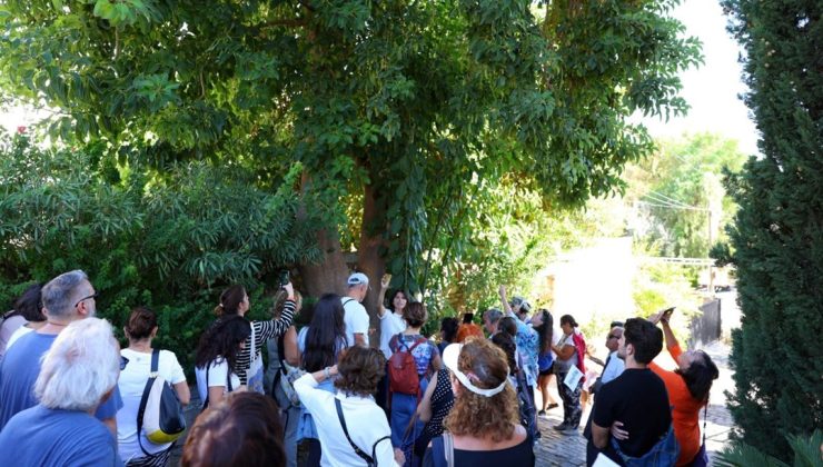 Halikarnas Balıkçısı Bodrum’da anıldı | NTV Haber