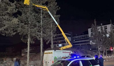 Yavru kedi için ekipler seferber oldu
