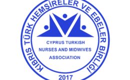 KTHEB: “Hemşire sayısındaki yetersizlik ciddi bir halk sağlığı sorunudur”