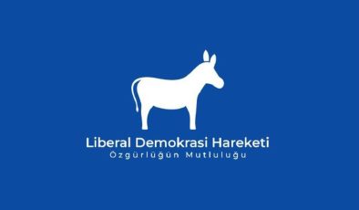 Liberal Demokrasi Hareketi: “Starlink teknolojisi lüks değil, çağın gereğidir”