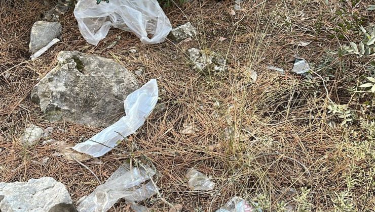 Alevkayası, çöplüğe döndü