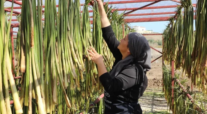 Yaz aylarında göl yüzeyinden toplanıyor: Depremzede kadınların elinde sanat eserine dönüşüyor