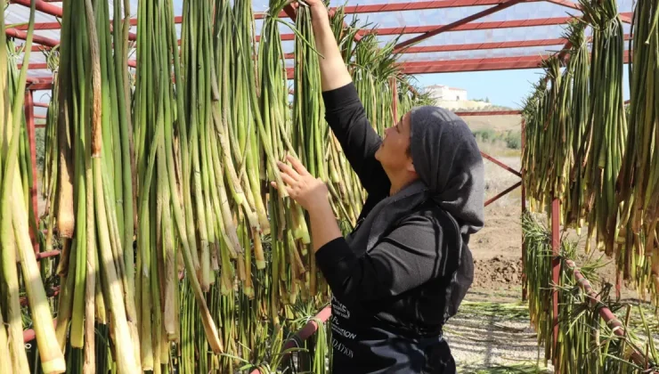 Yaz aylarında göl yüzeyinden toplanıyor: Depremzede kadınların elinde sanat eserine dönüşüyor
