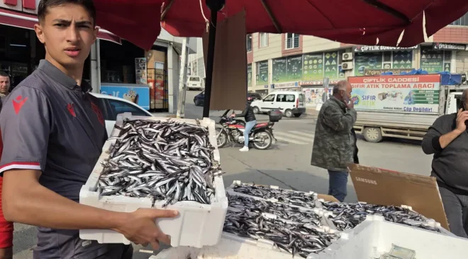 Samsunspor fanatiği balıkçı 100 liralık hamsiyi 25 TL’ye sattı