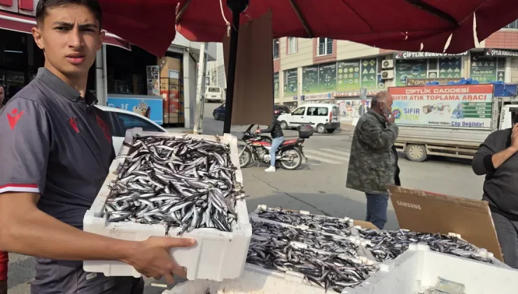 Samsunspor fanatiği balıkçı 100 liralık hamsiyi 25 TL’ye sattı