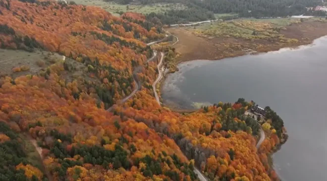 Bolu’nun doğa harikası Abant’ta ziyaretçi yoğunluğu