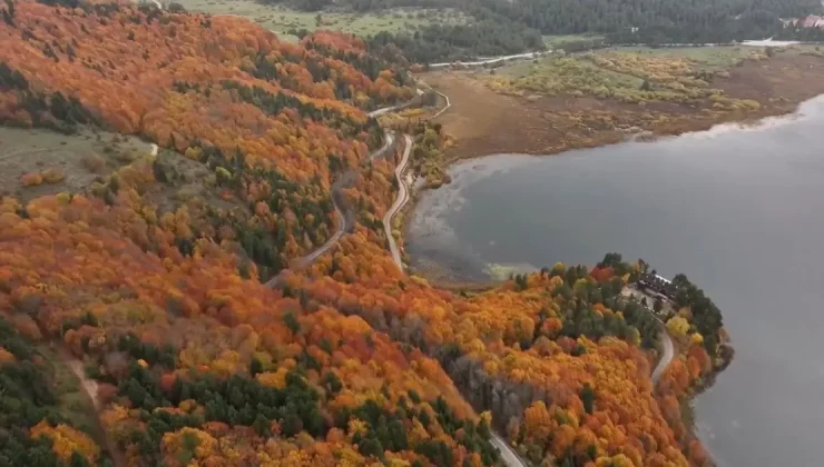 Bolu’nun doğa harikası Abant’ta ziyaretçi yoğunluğu