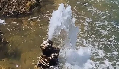 Van Gölü’nde şaşırtan görüntü: Sular çekilince ortaya çıktı