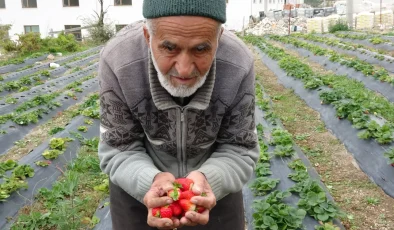 85 yaşındaki İbrahim dede bahçesindeki her şeyi ücretsiz dağıtıyor: ”Malım herkese helaldir”
