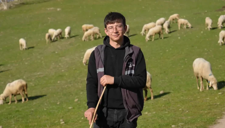 Mimar oldu, köyüne döndü: Onu "Küpeli Çoban" olarak tanıyorlar