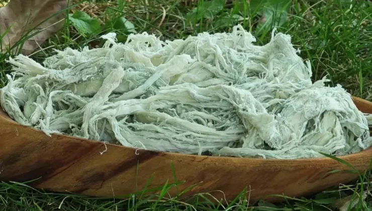 Doğal antibiyotiğin kilosu 500 TL: Kazanlarda kaynatılarak hazırlanıyor