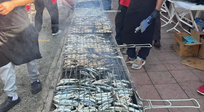 7 ton hamsi bedava dağıtılacak