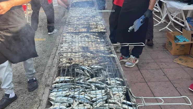 7 ton hamsi bedava dağıtılacak