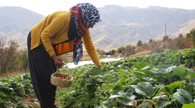 Hobisi işi oldu: Ev hanımıydı, şimdi ailesini geçindiriyor