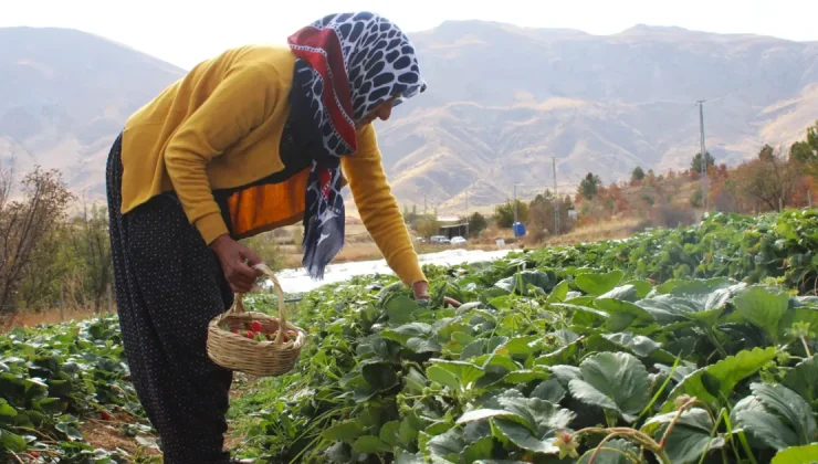 Hobisi işi oldu: Ev hanımıydı, şimdi ailesini geçindiriyor