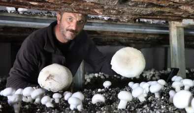 Metropol hayatını bıraktı, memleketinde iş kurdu: ”Taleplere yetişemez oldum”