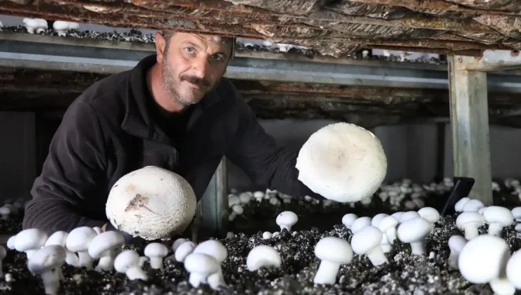 Metropol hayatını bıraktı, memleketinde iş kurdu: ”Taleplere yetişemez oldum”