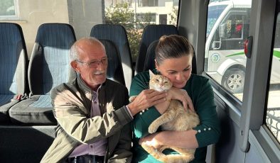 ”Yolcu” isimli kedi, dolmuş durağının maskotu oldu