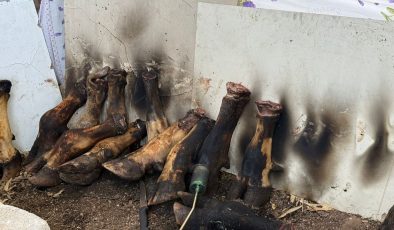 Mide bulandıran manzara