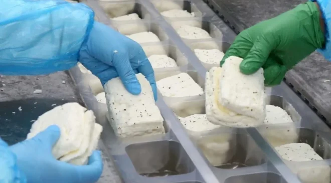 KKTC’de üretilen hellim Yeşil Hattan geçemiyor