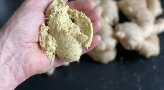 Aspirinle birlikte tüketilmemesi gereken 3 baharat: Kanama riskini artırıyor