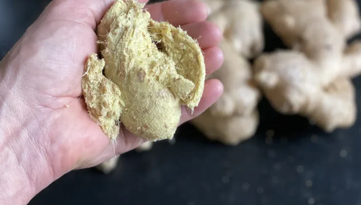 Aspirinle birlikte tüketilmemesi gereken 3 baharat: Kanama riskini artırıyor