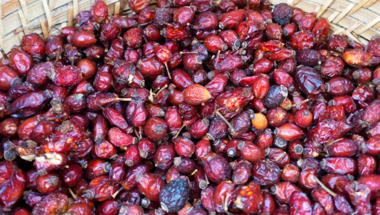 Havalar soğuyunca talep arttı. Kilosu 250 liraya satılıyor