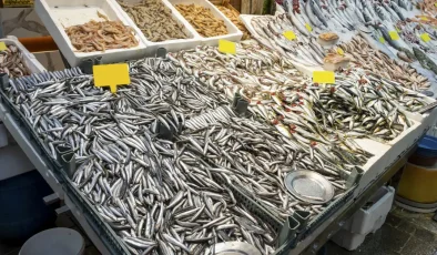 Karadeniz’deki bolluk fiyatını düşürdü: Kilosu 100 liraya geriledi