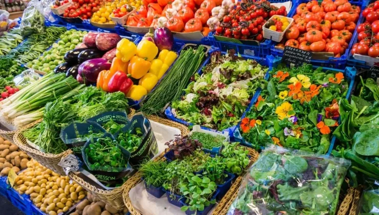 Ziraat Mühendisleri Odası, sebze ve meyve fiyatlarının yüksek olmasından KIBSEM’i sorumlu gösterdi