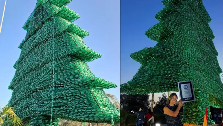 Pet şişeden sedir ağacıyla Guinness’e girdi